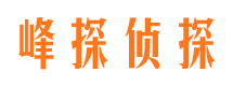 公安婚外情调查